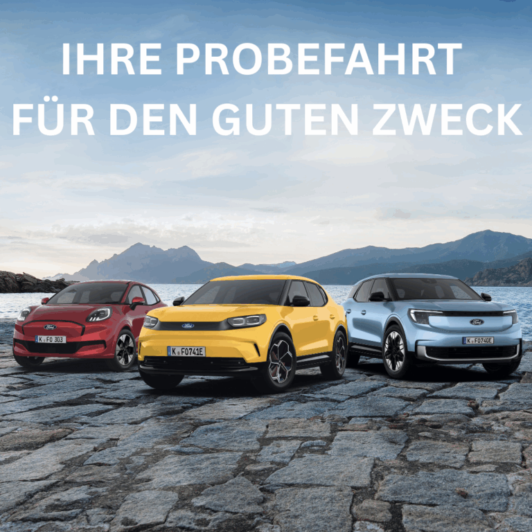 Probefahrt Ford